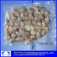 Frozen cooked baby clams in vacuum bag